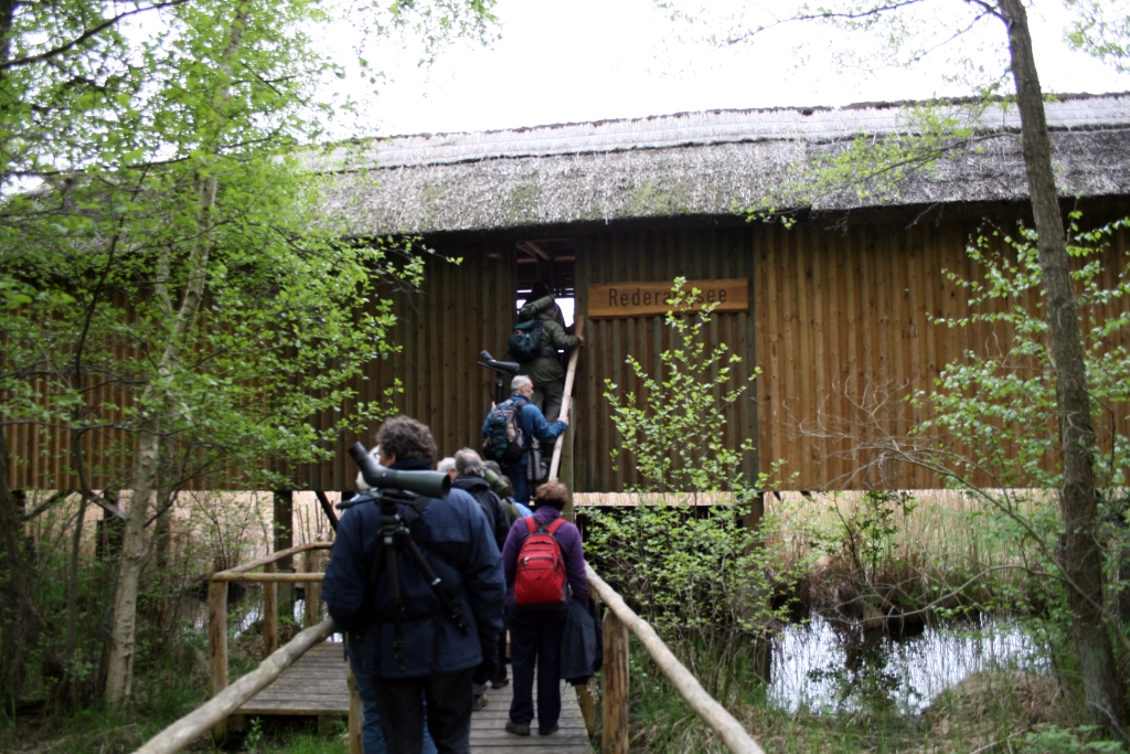 VWG vogelreis Oost Duitsland mei 2010 510